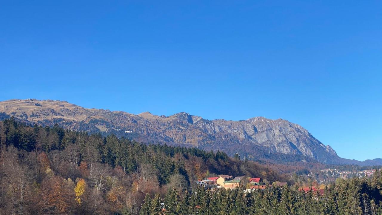 Perfect View Apartment Sinaia Esterno foto
